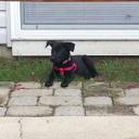 Nikki Allred - @2boymom - Twitter