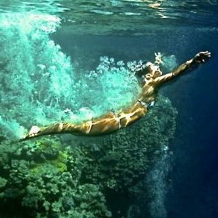 daisy2225's profile picture. Love my family, friends, laughing, travelling, music,dancing,reading, cooking, swimming,the beach and BOO!