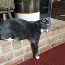 Penny Bender - @bender_penny - Twitter