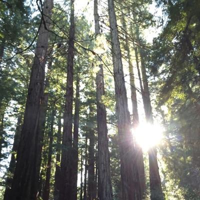 satellite_boys's profile picture. 