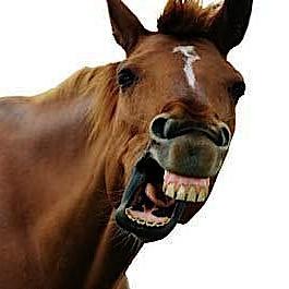 zanesands's profile picture. 