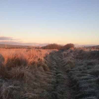 ControlMole's profile picture. Mole Control is a small locally run business within the peninsula of St David's. Catching moles in the most humanly way. Ring us on 07837856956