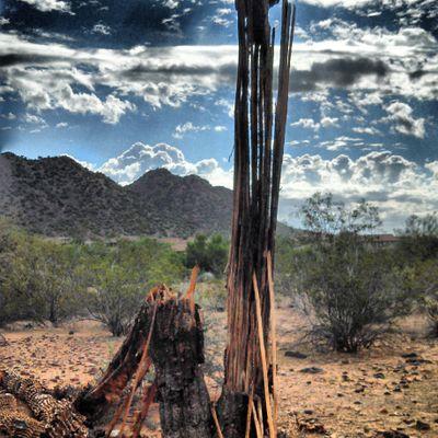 DesertsEdge's profile picture. 