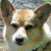 Barb (@barbrichter1) Twitter profile photo Barb (@barbrichter1) Twitter profile photo