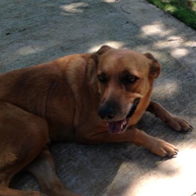 TMPLnewjersey's profile picture. 