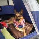 Barb Keller - @BarbKeller1 - Twitter