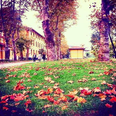 razan_gseibat's profile picture. Hii , My name's Razan , I'am a Libyan girl
                   My BD  4_11_1994                             http://t.co/Dwkifjz0bR