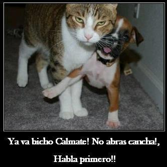 canas_miriam's profile picture. 