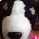 Katie Allan - @Allan08Katie - Twitter