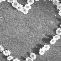 crazythoughts77's profile picture. 