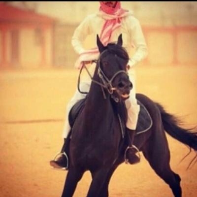 منشد شيـلات جميع الشيلات في المفضلة وأتشرف بالجميع