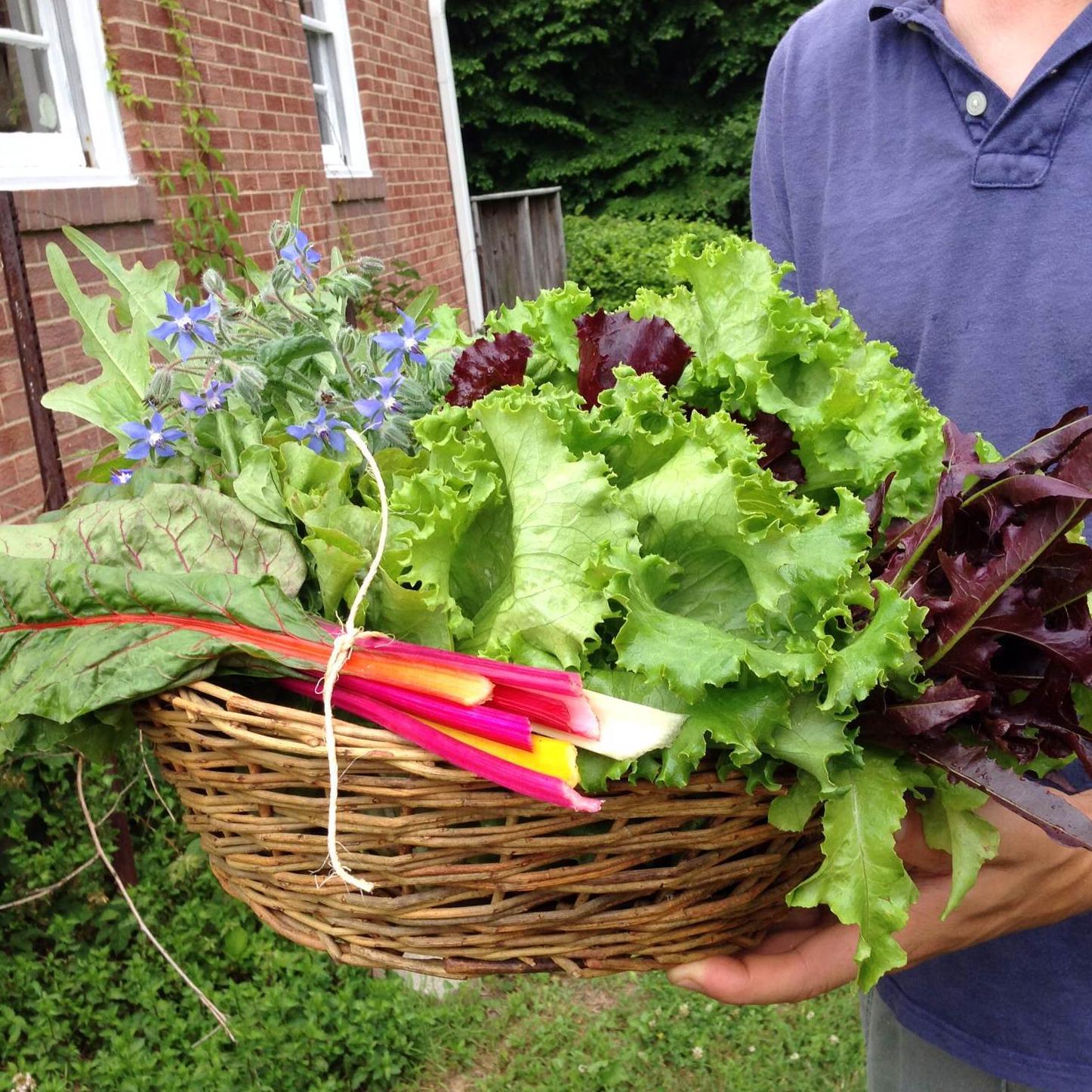 We produce organically grown vegetables using sustainable growing techniques. All Certified Naturally Grown with no chemicals, pesticides, or GMOs.