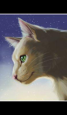 Im thrushpelt the cat im on http:/youtube.com/thrushpelt the cat