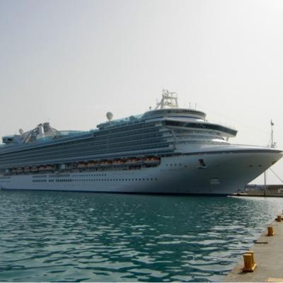 susankwheeler's profile picture. 