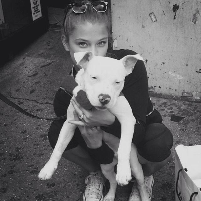 LivSmithSA's profile picture. mental suicide