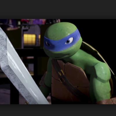 Sup The Name Is Leonardo I have 4 Brothers Called Raphael Donatello and Michelangelo.We Train To Be The Best Ninjas In New York And To Save The World