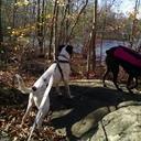 sally nesmith - @sneh0824 - Twitter