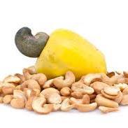 Mark 4 Trading Company is into the business of Imports & International Trade of Raw cashew Nuts in Shell from Africa