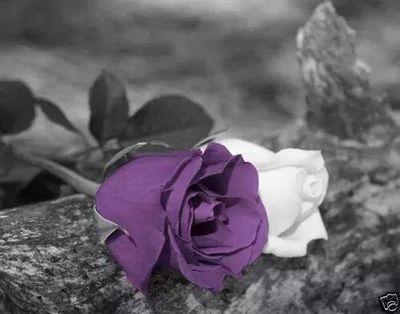 AskriIman's profile picture. 