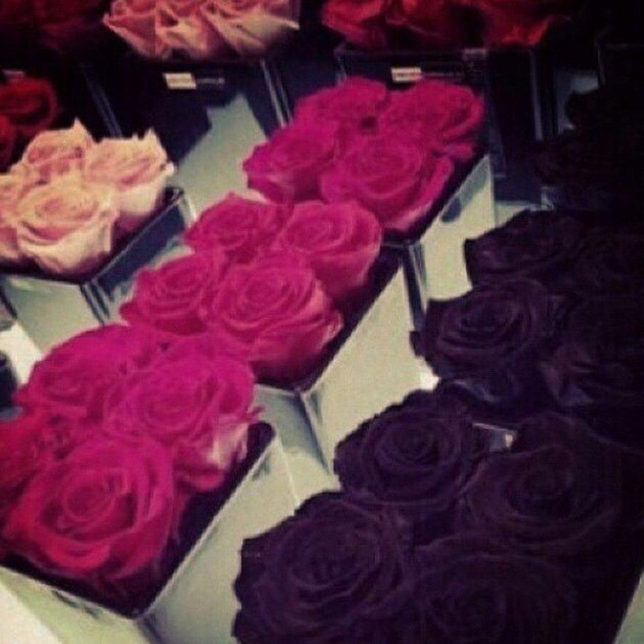 5jolhwedo0o's profile picture. 