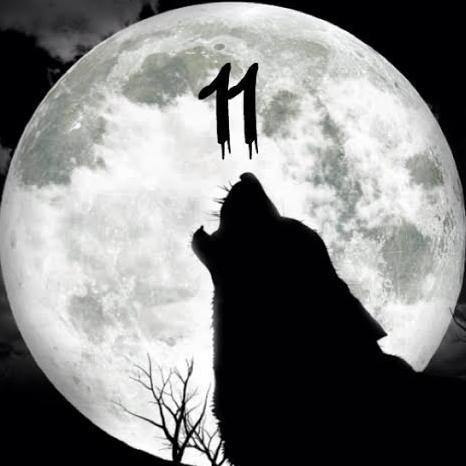 11WolfGames's profile picture. Hello! I do minecraft gameplays and short animations on youtube! Check it out!