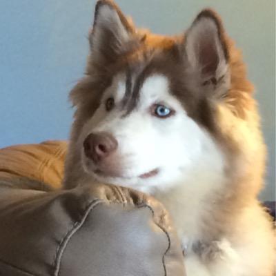 martin_kelly05's profile picture. 