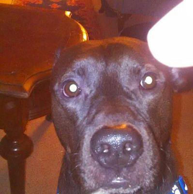 GrunbergBrad's profile picture. 