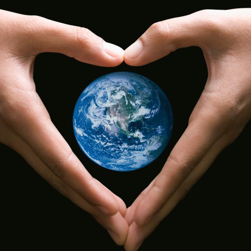 The best environmentally friendly products in our world