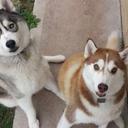 Luke Masterson - @lmasterson88 - Twitter