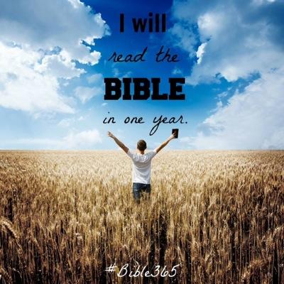 Read the Old Testament, New Testament, or the entire Bible in 365 days.