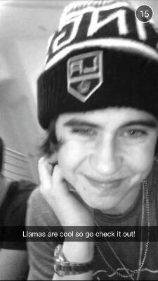 follow @bluebeanienash since she gave you this free follow. have a great day