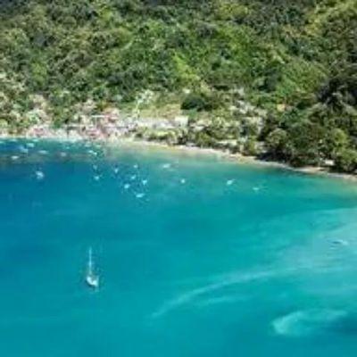 stargirl123_1's profile picture. 