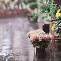 آسّتغَفرَاللّــهـ (@demaaa111) 's Twitter Profile