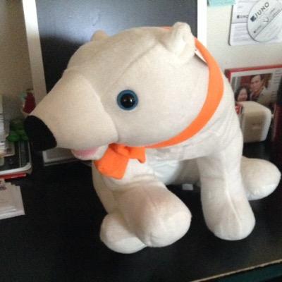 abc_hoang's profile picture. 