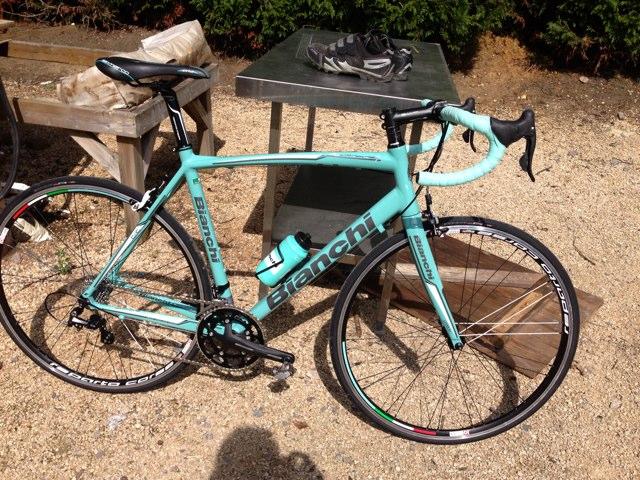 DArcylawes's profile picture. 