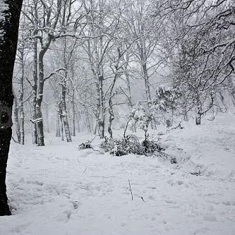 nimportee's profile picture. 