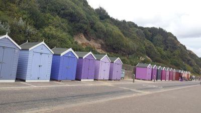 MunaKhalid1's profile picture. 