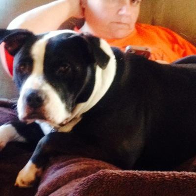 kimgutz's profile picture. Wife 25 +yrs 💍, mother of 2 beautiful girls 💗💗"smile....it increases your face value".