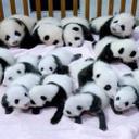 Abel Archuleta - @chloearch12 - Twitter