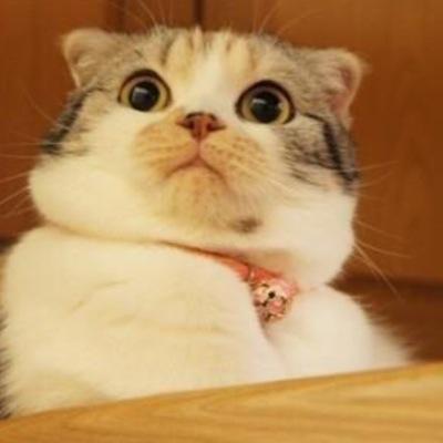 #followback Follow back ou junfollow