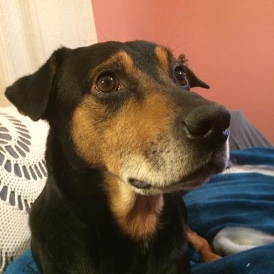 dtapkowski's profile picture. 