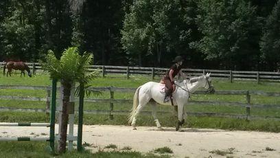 I gravitate toward grey pons, what can I say?