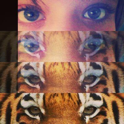 Bloggerin03's profile picture. @lauraunger_      instagramm