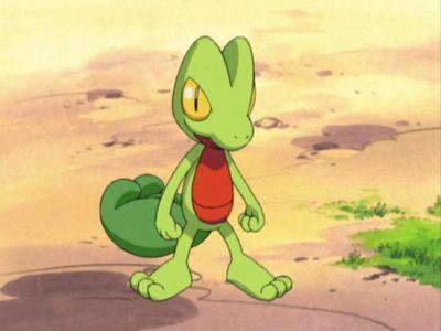 Pokemon Fan, Treecko Lover.
Trying to make a competitive Pokemon tema at ORAS.