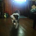 Christopher Gamble - @Christo34326429 - Twitter