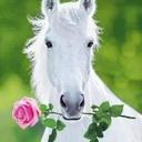 Lidia Elsa Cosio Bañ - @BanLidia - Twitter