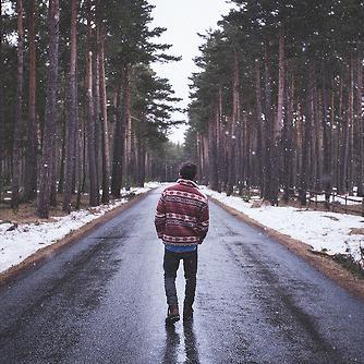 Lover of mountains, tea, indie/folk, literature and the like