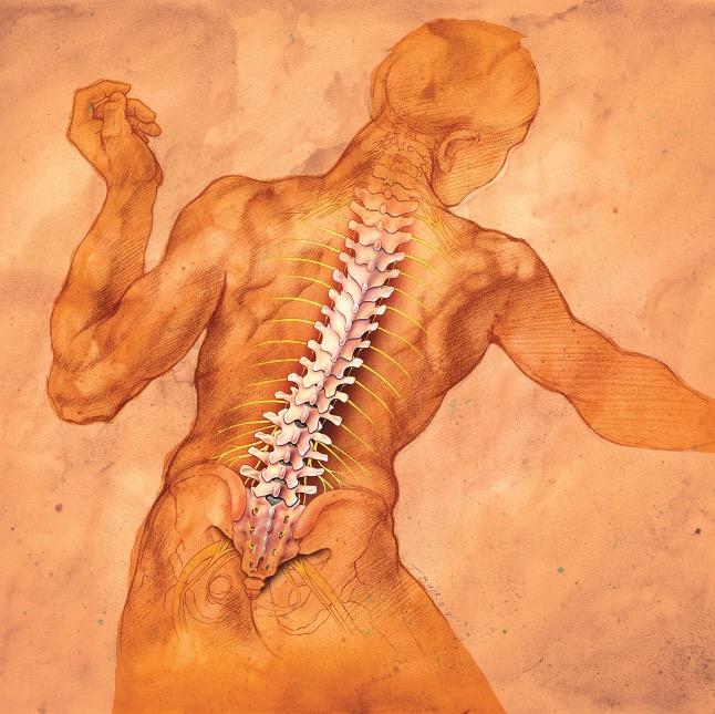 Conservative spinal management