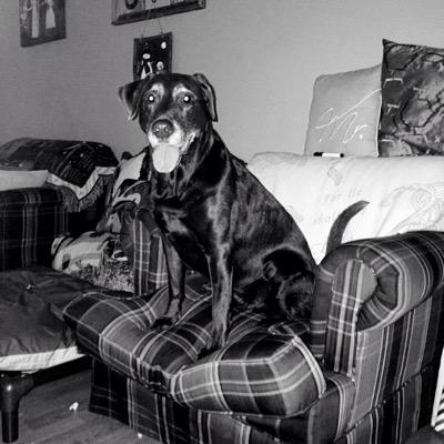 Bff's who strive to make a change in the lives of abused and abadoned animals. We rescue, vaccinate, spay/neuter, then rehome. donate thru our website to help.