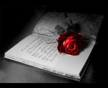 كاتبة ✒️📖مهندسة معمارية 📐✏️جوزائية الهوى♊️ مجنونة سوني 🎮